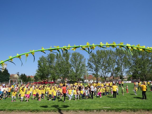 Nárcisz futás 2018 083